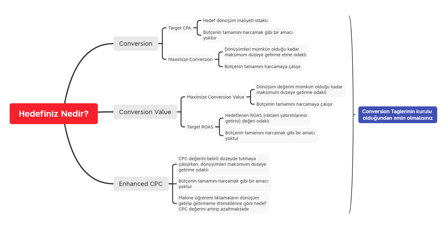 Conversion ve Conversion Value odaklı bid stratejiler