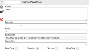 isfirstpageview cookie value -1
