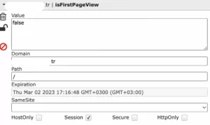 isfirstpageview cookie value -2