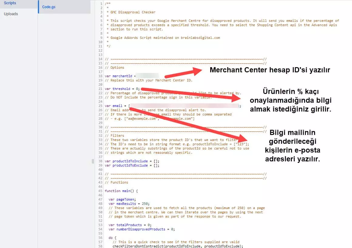 google ads script düzenleme