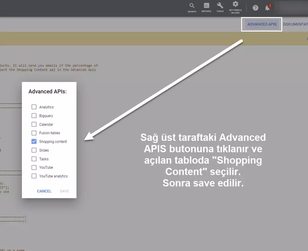 google ads script api etkinleştirme